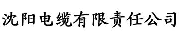 亚洲三区二区一区电缆厂logo